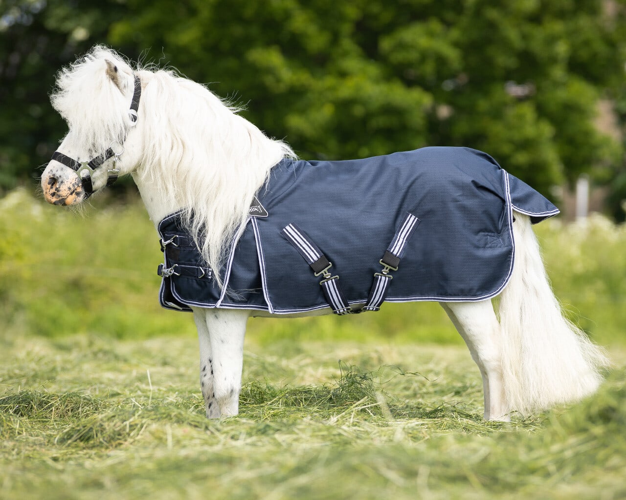 Outdoordecke Falabella turnout 200gr