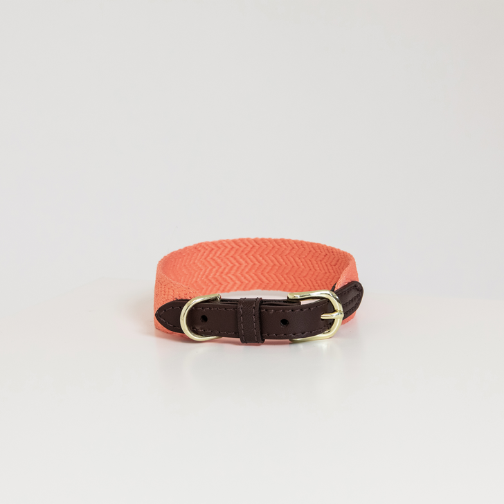 Hundehalsband Jacquard