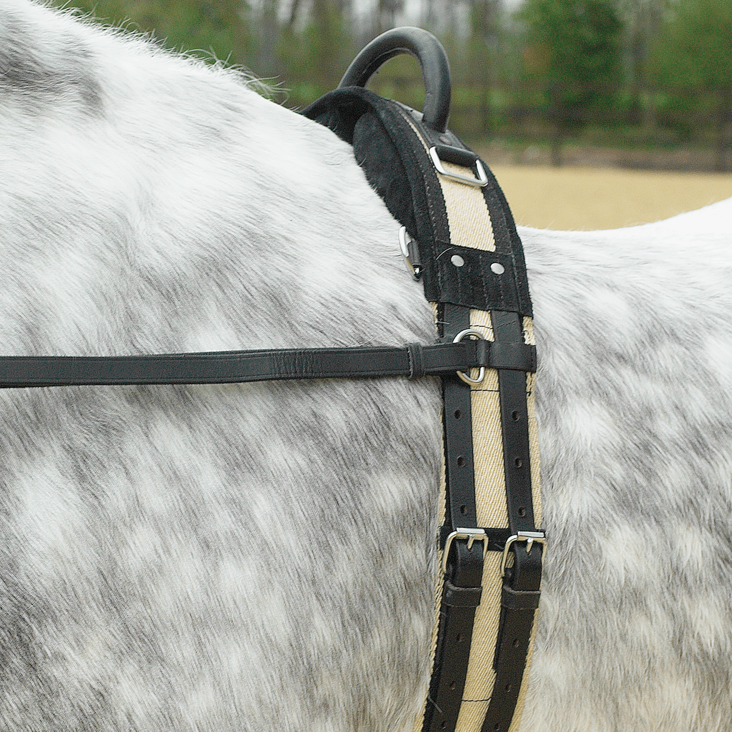 BUSSE Longiergurt mit Handgriff