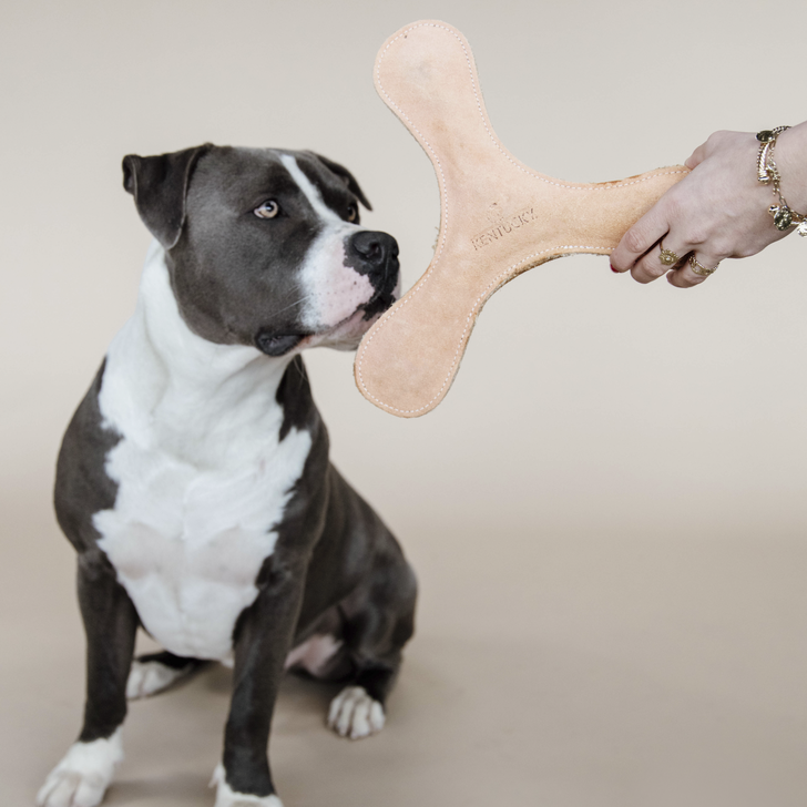 Hundespielzeug Pastell Bumerang