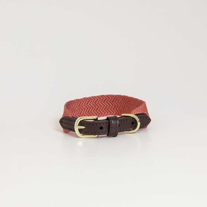 Hundehalsband Jacquard