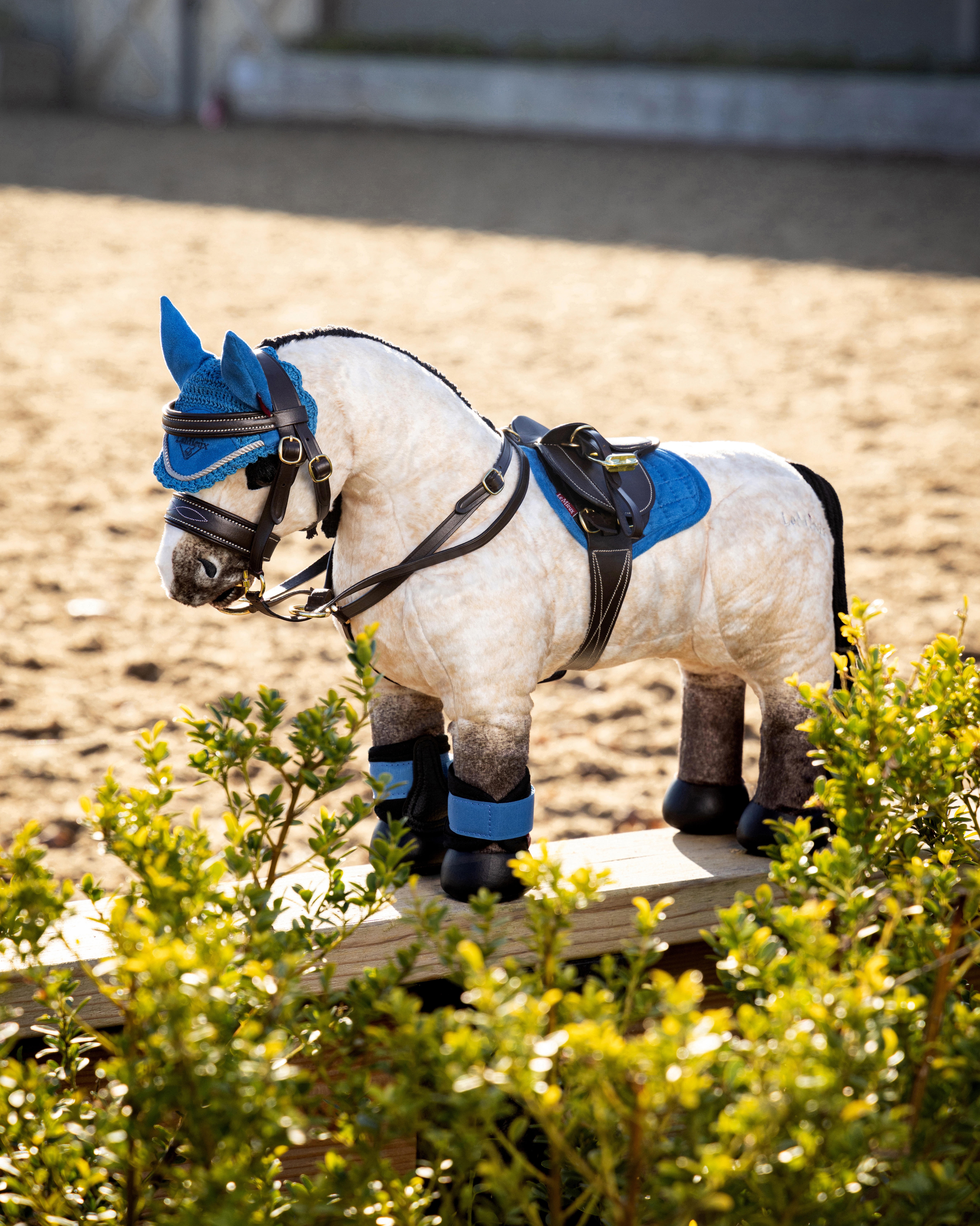 Toy Pony Martingal in schwarz