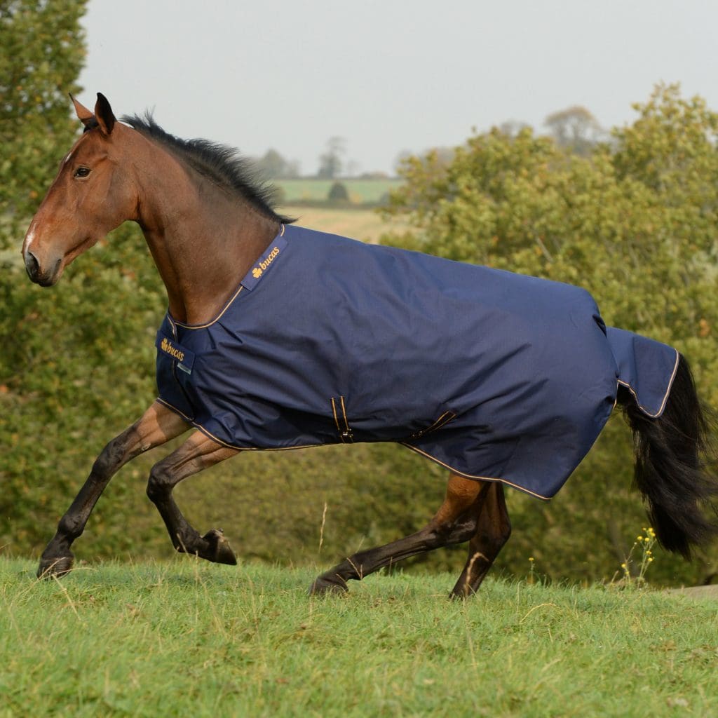 Outdoordecke Irish Turnout 150 g in Navy/gold