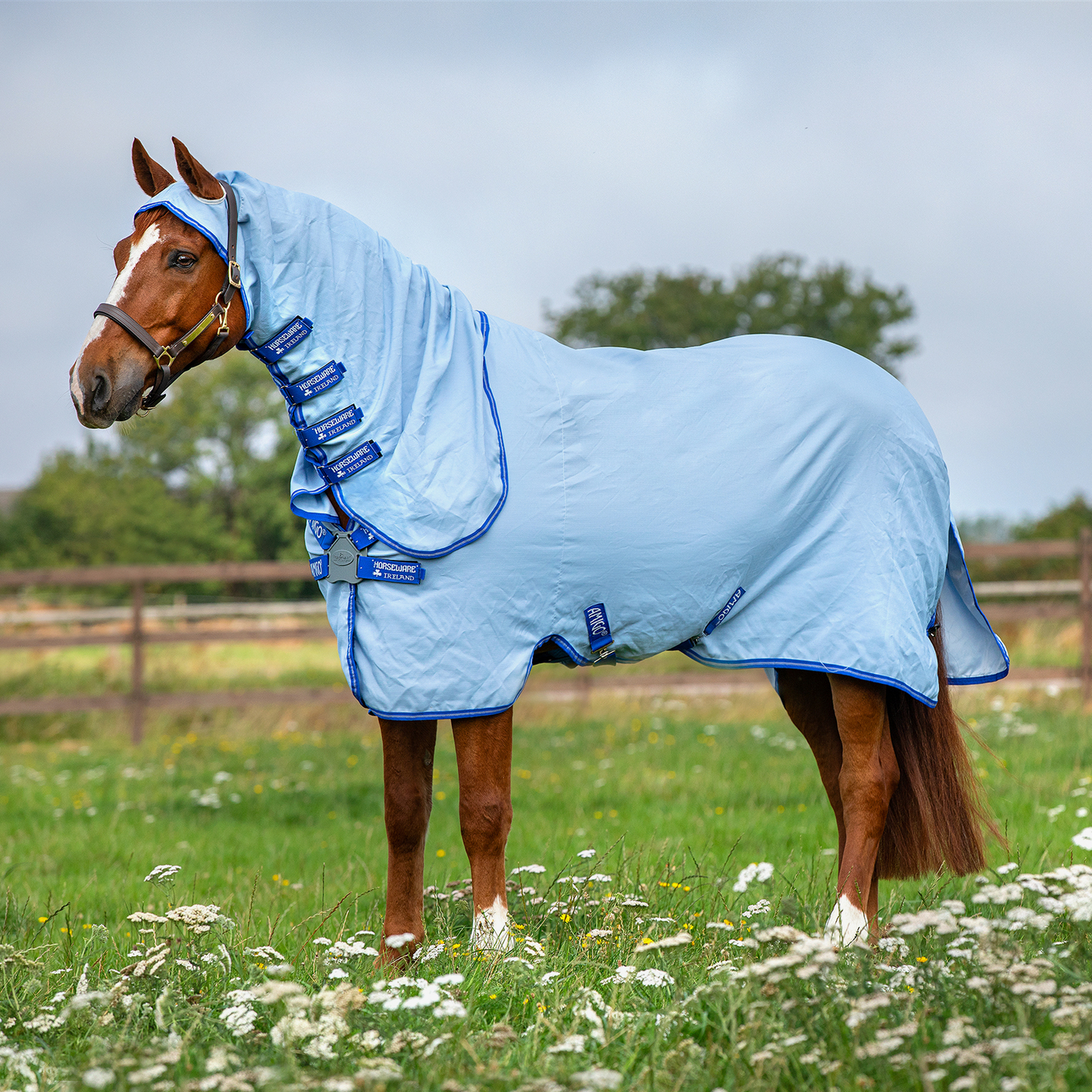 Fliegendecke Amigo Ripstop Hoody in Azure Blue/Strong Blue & Silve