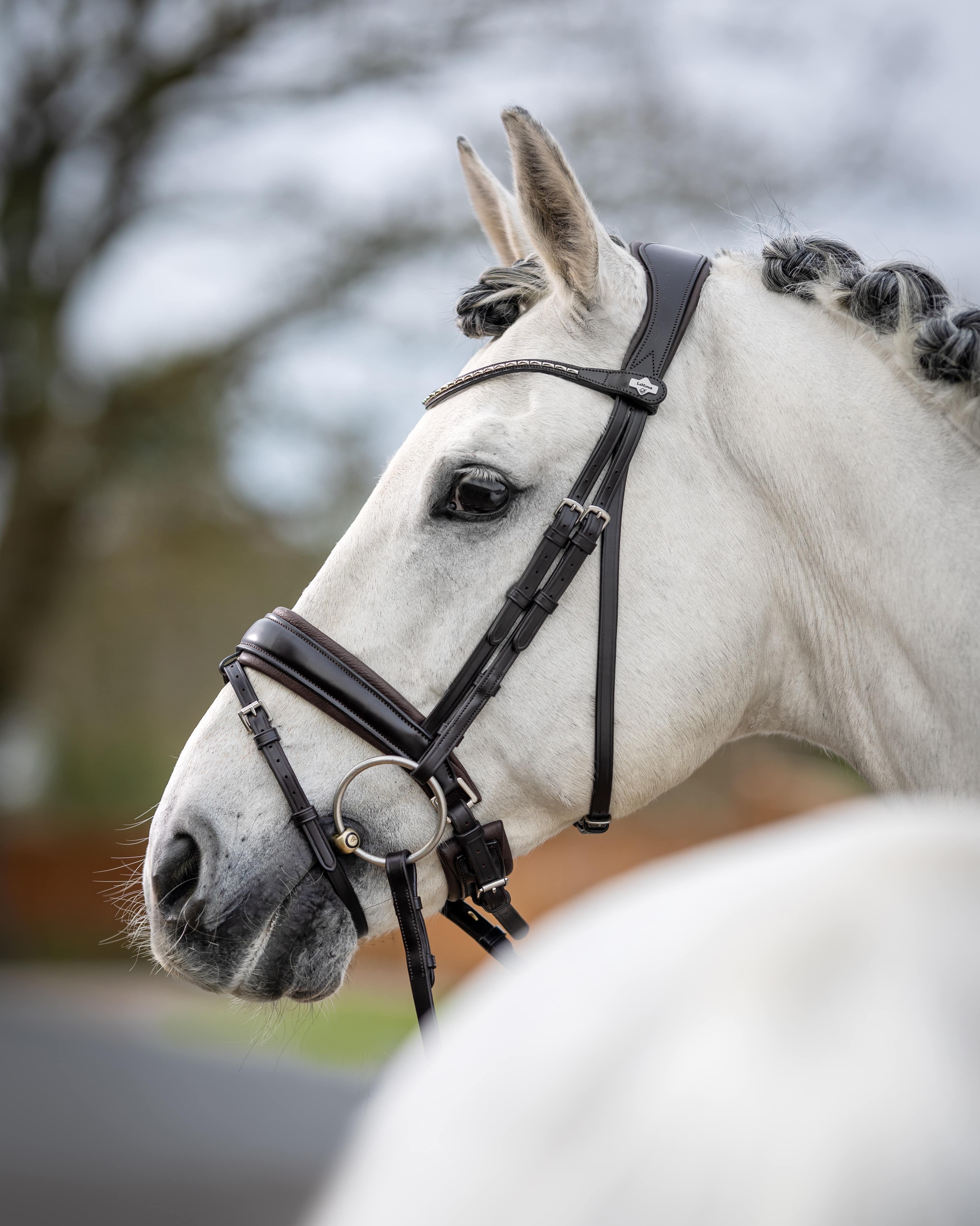 Trense Classic Dressage