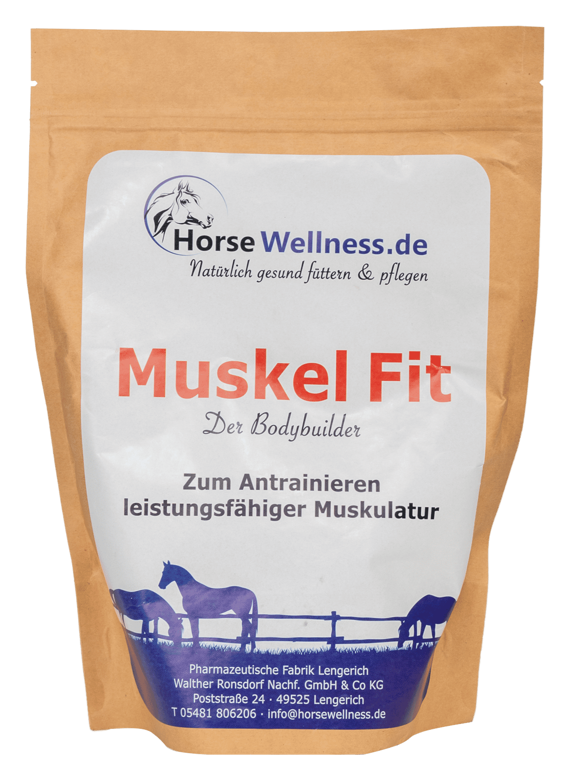 Muskel Fit für Muskelaufbau, Kraft und Losgelassenheit