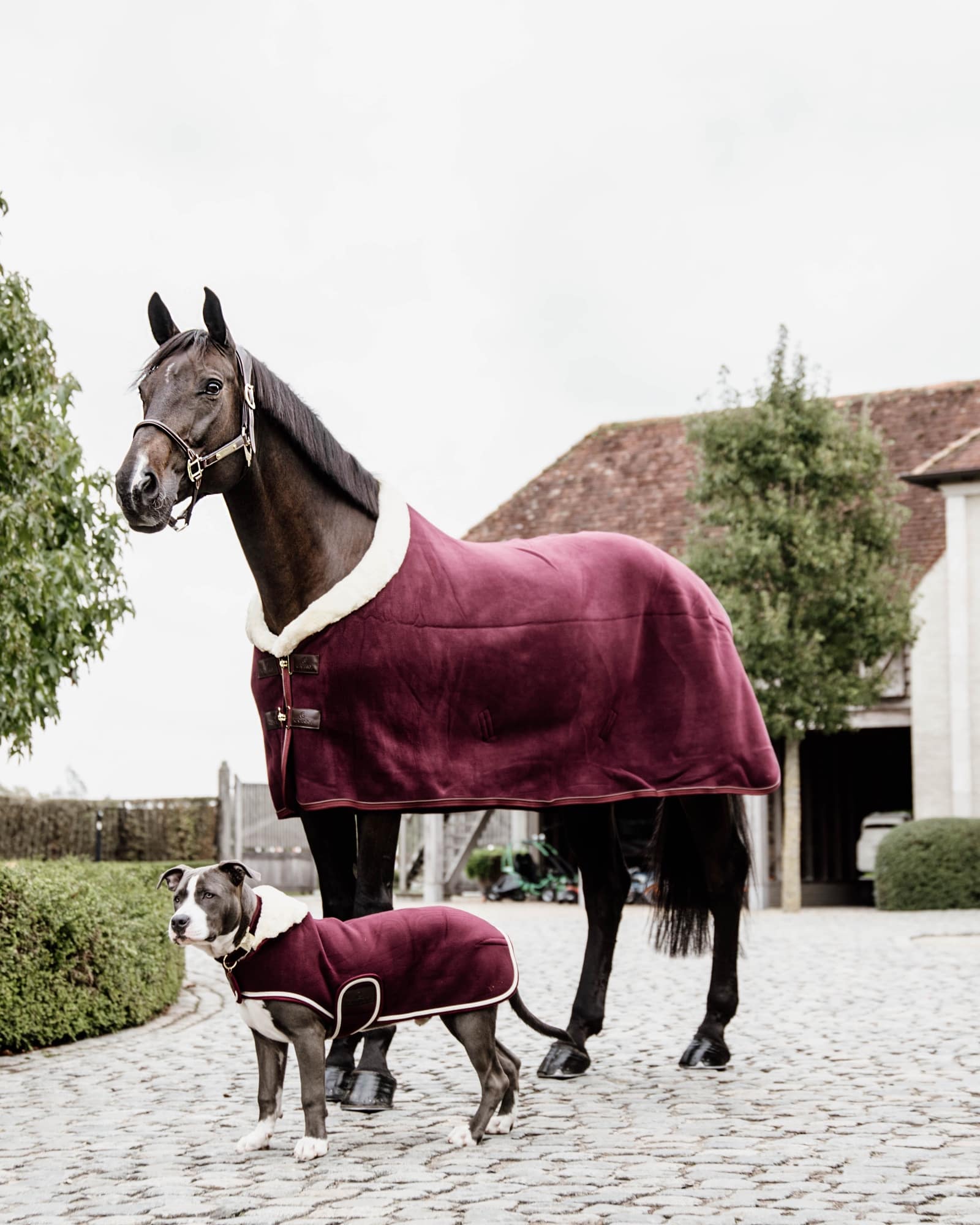 Abschwitzdecke Fleece Show Heavy