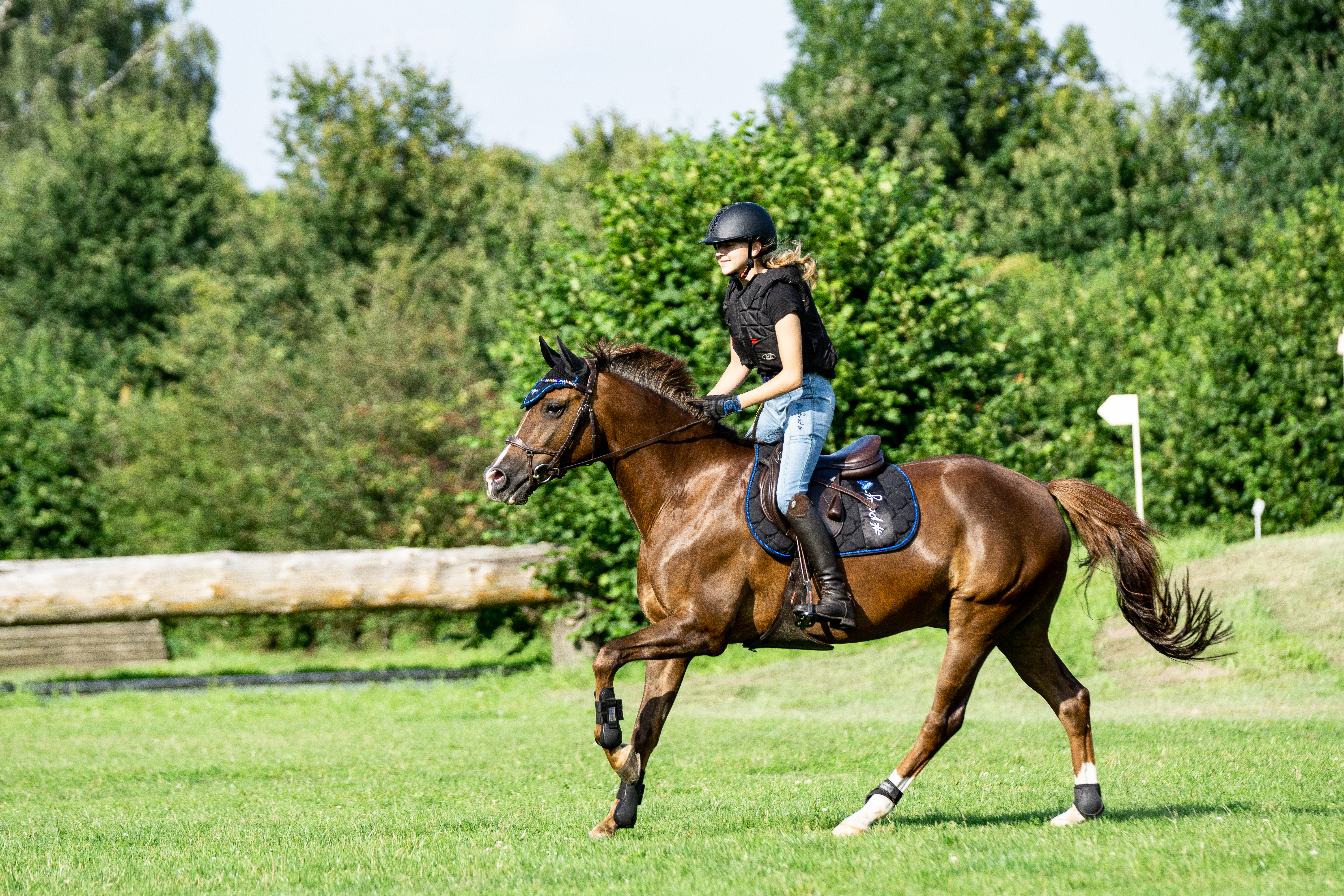 Steppschabracke ponylove in schwarz/blau