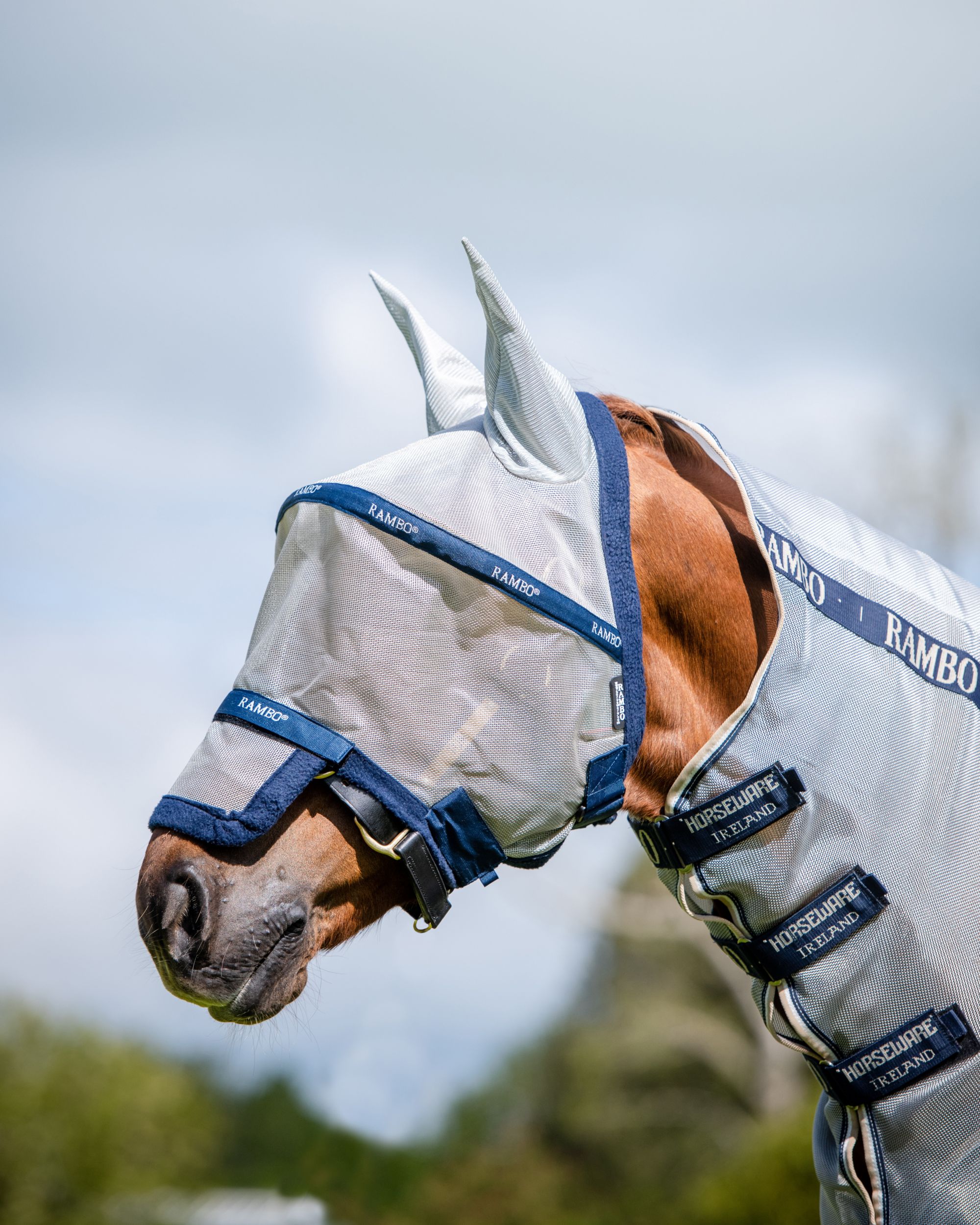 Fliegenmaske Rambo Flymask Plus non treated