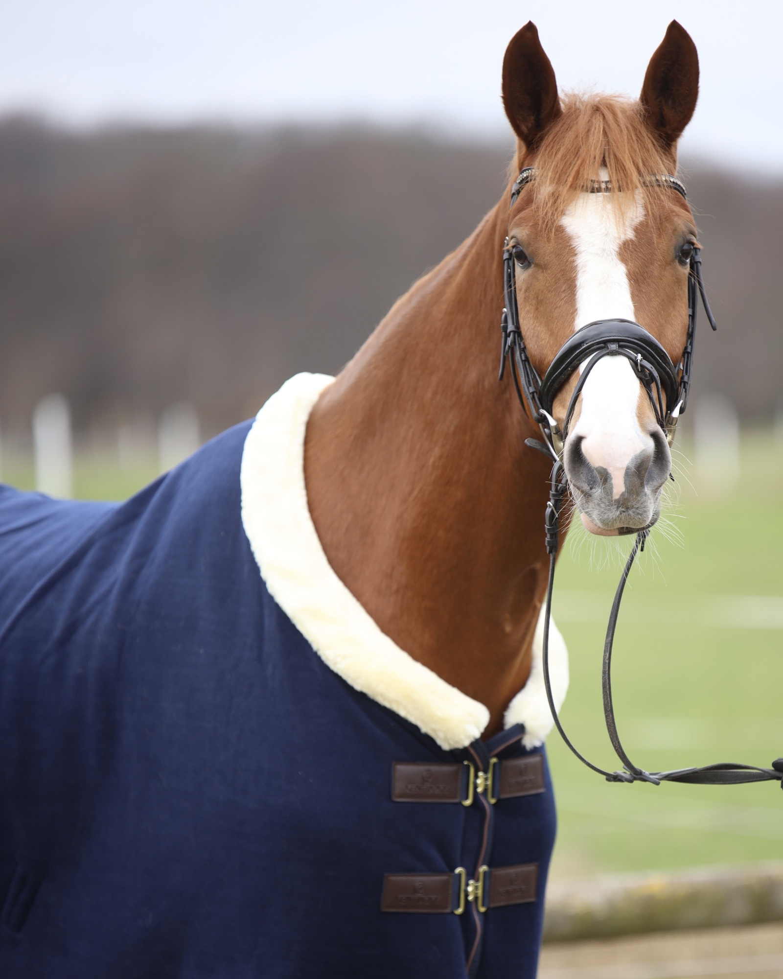 Abschwitzdecke Fleece Show Heavy