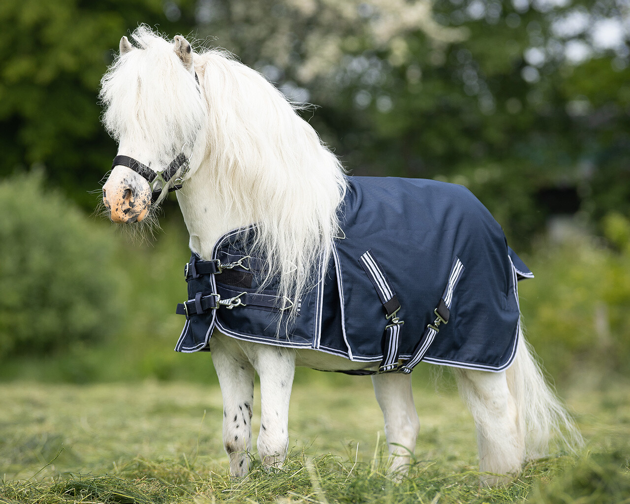 Outdoordecke Falabella turnout 200gr