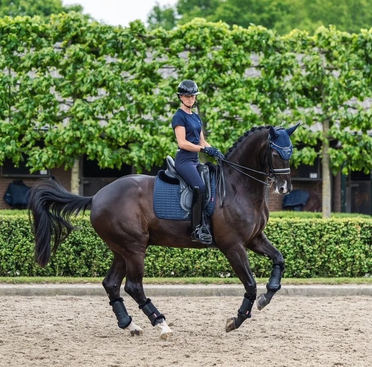 Cooling Dressage Pad in Navy