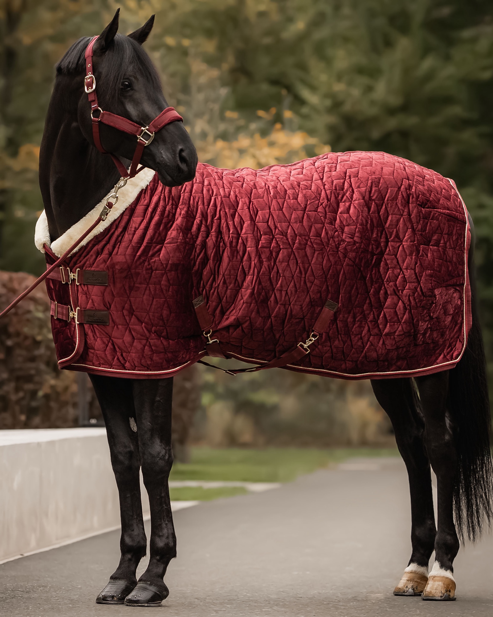 Turnierdecke Show Rug Velvet 160g