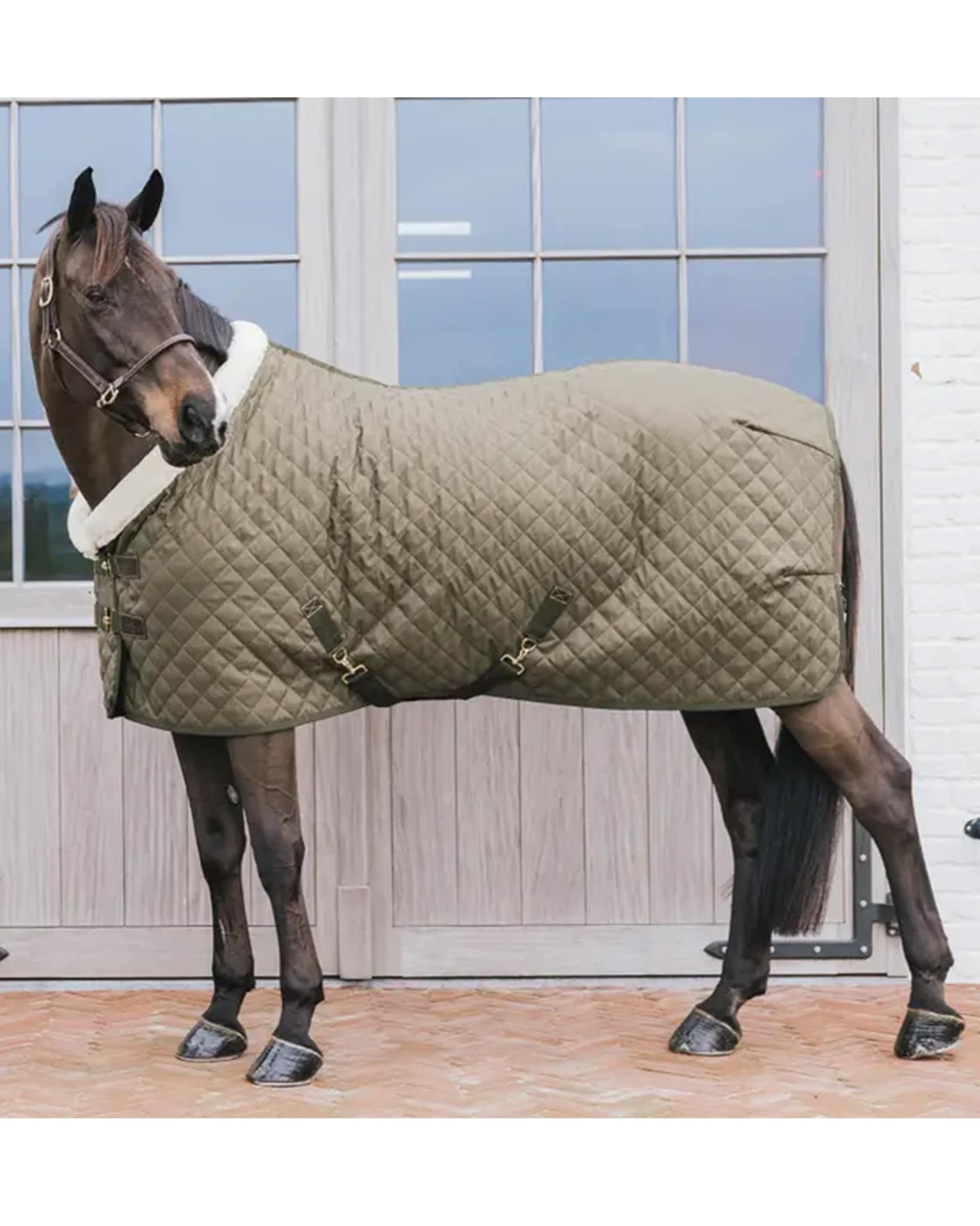 Turnierdecke 160g Showrug in khaki