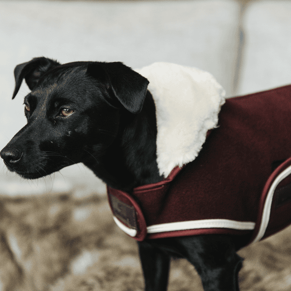 Hundemantel Heavy Fleece in bordeaux