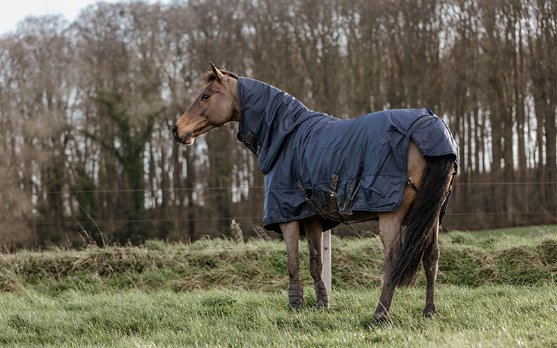 Pferd mit Kentucky Hurricane Decke auf Weide