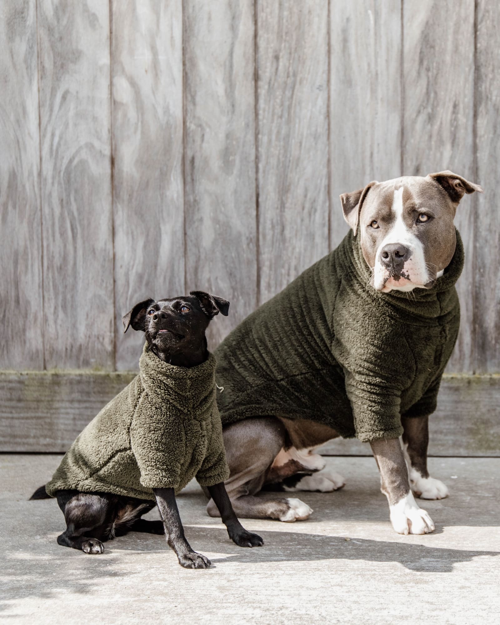 Hundepullover Teddy Fleece