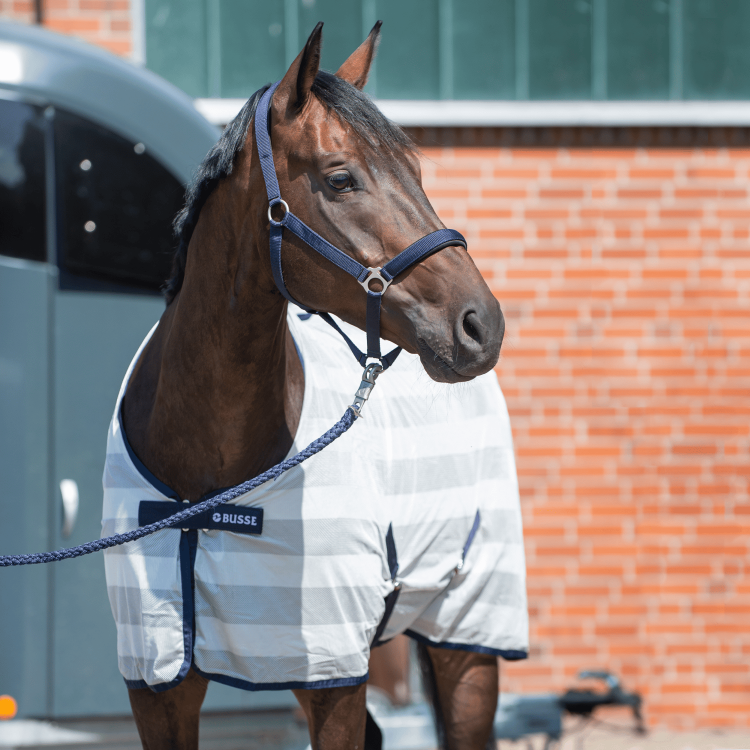 BUSSE Transport-Fliegendecke STRIPE