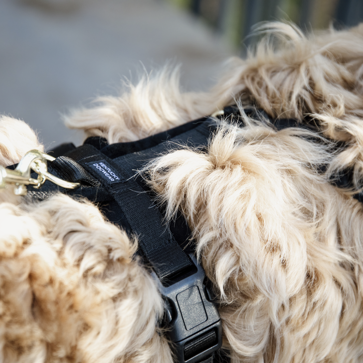 Hundegeschirr Aktiv Velvet