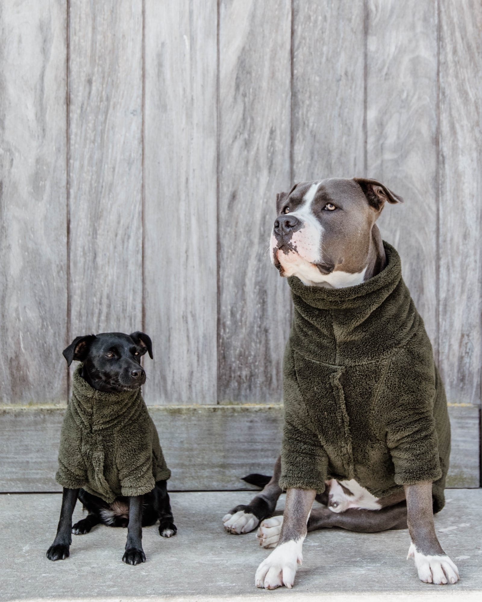 Hundepullover Teddy Fleece