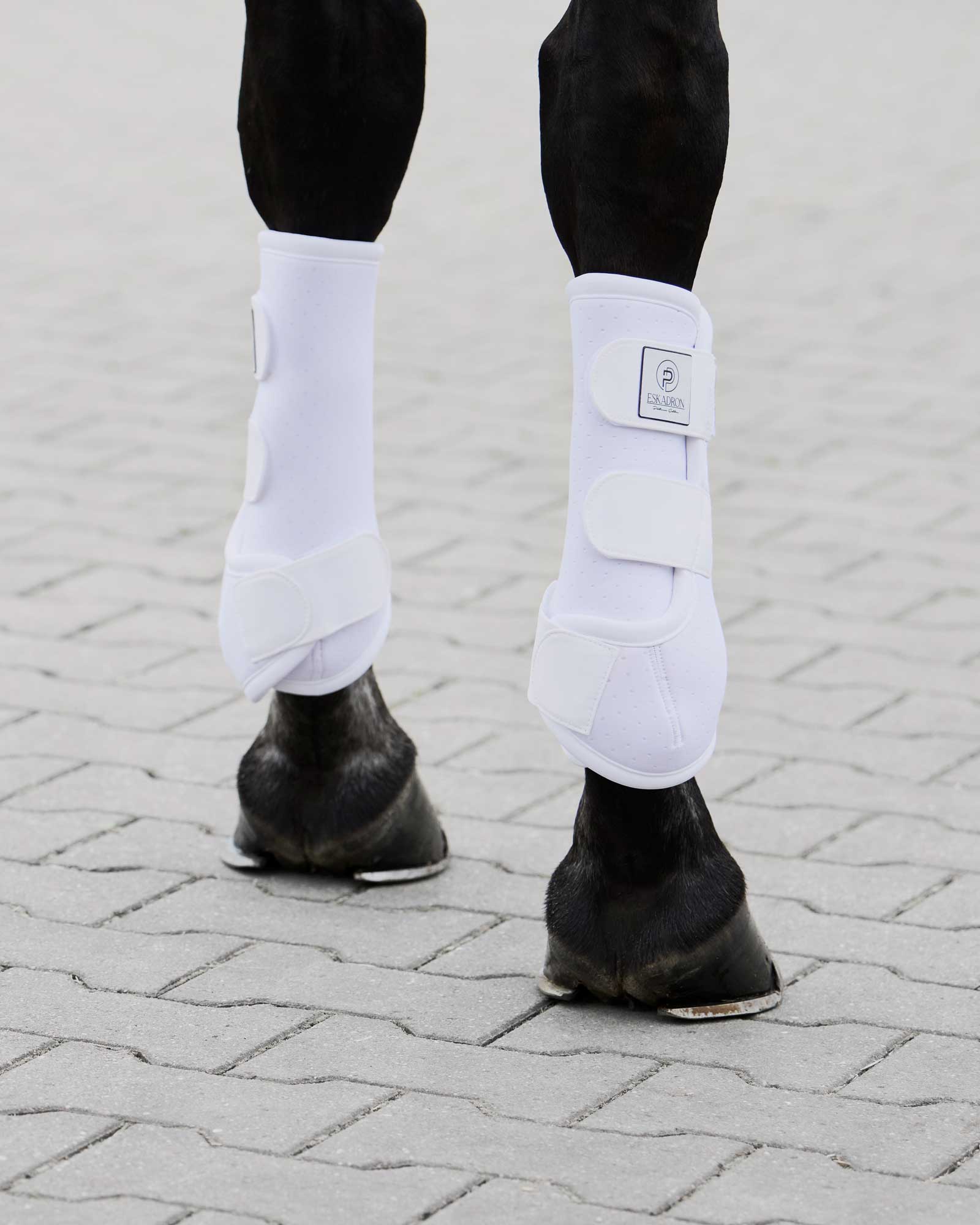 Gamaschen Pro Dressage Front Platinum