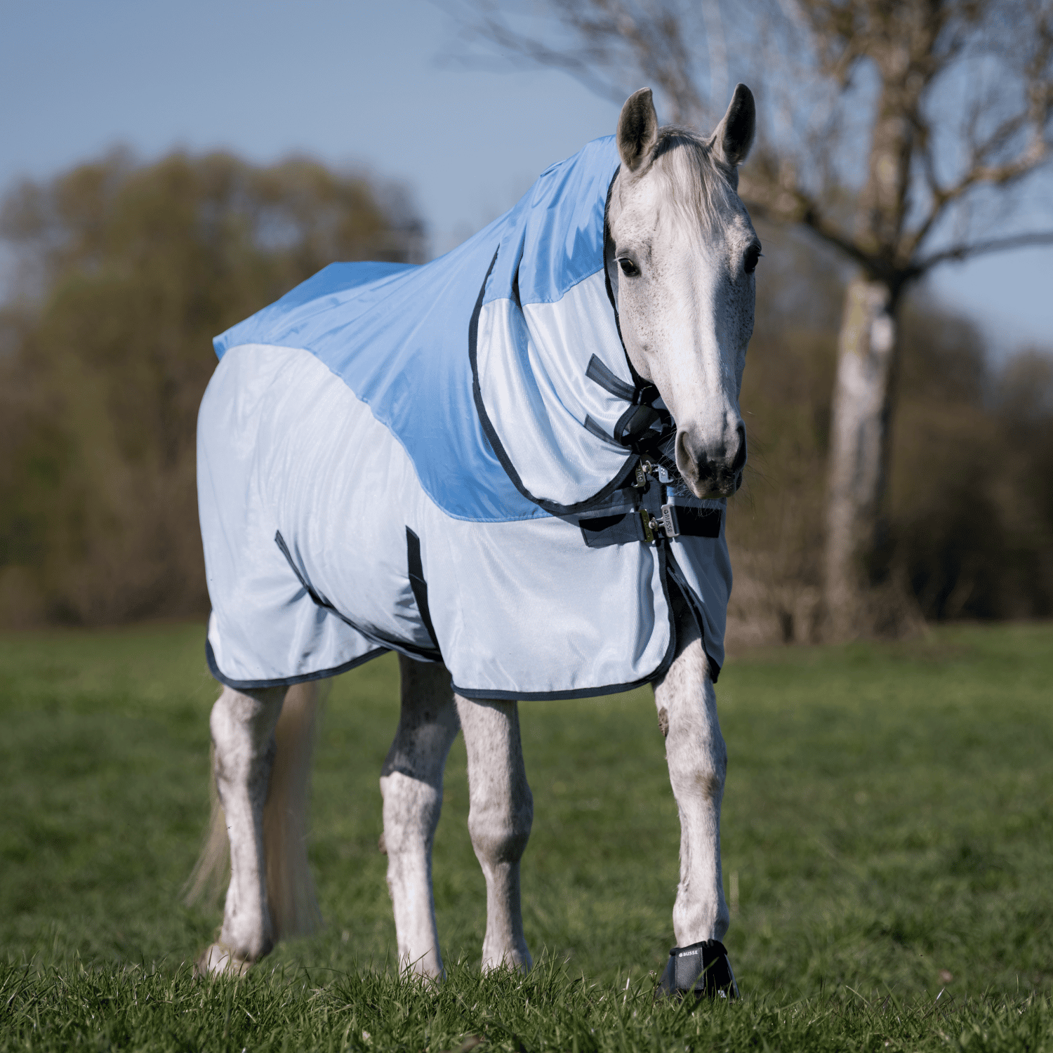 BUSSE Outdoordecke RAINFLY