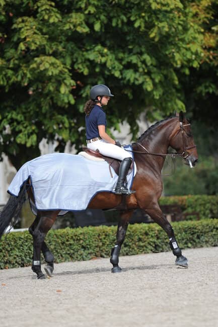 Ausreitdecke Buzz-Off Riding in Blue