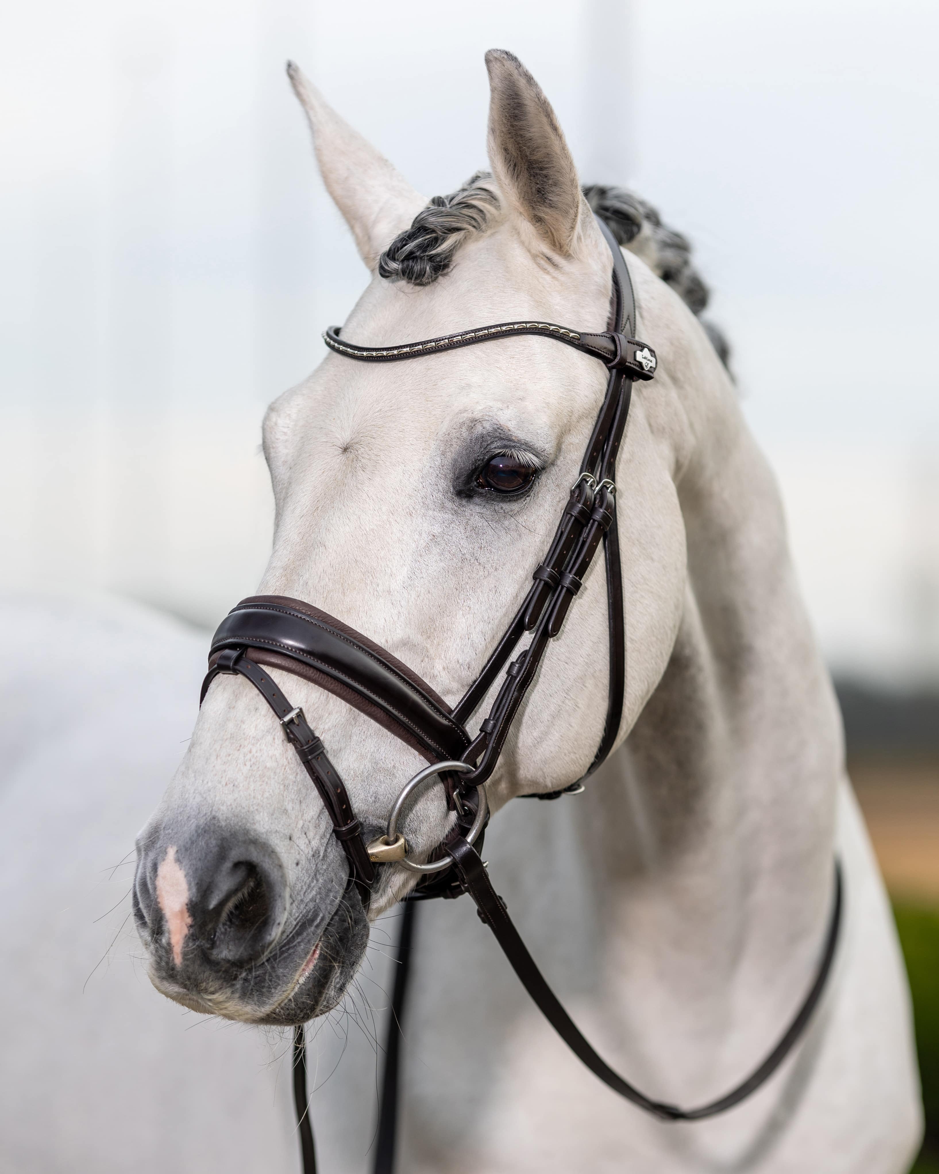 Trense Classic Dressage