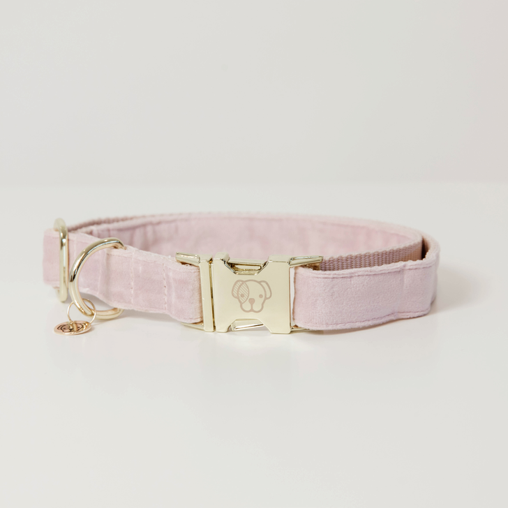 Hundehalsband Velvet