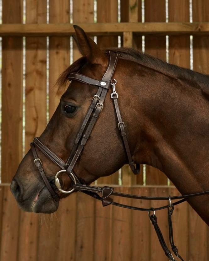 Trense kombiniert mit Karabiner in braun