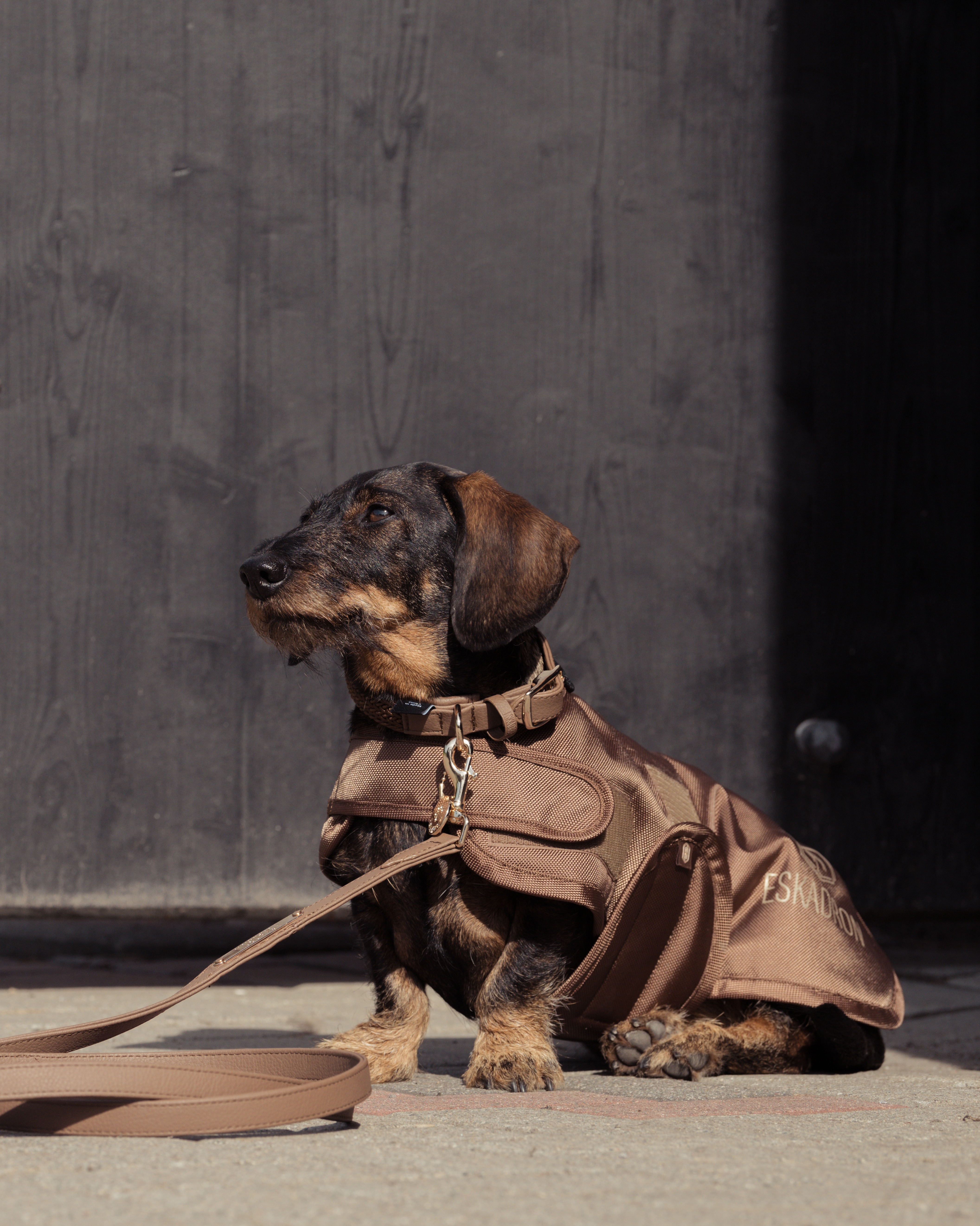 Hundemantel Heritage Teddyfleece