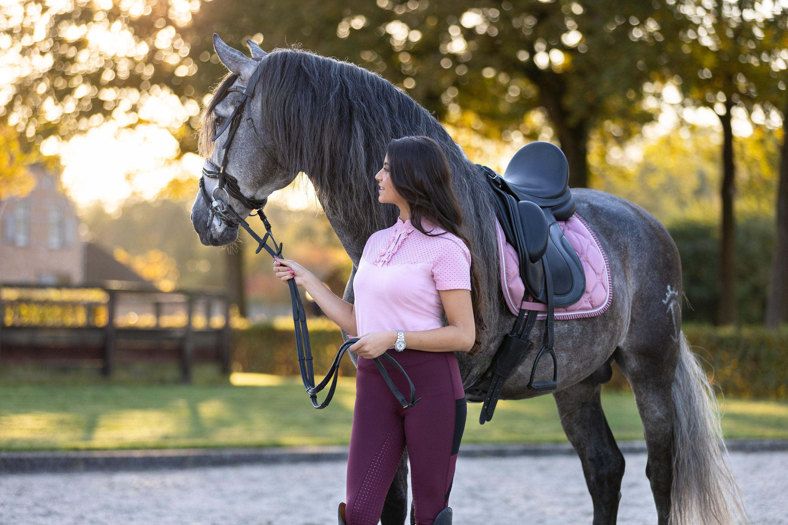 Reitleggings Damen Star Vollgrip in Dark berry